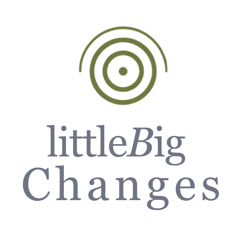 littleBig Changes_Logo_Kopfzeile_grün
